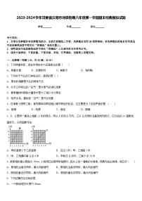 2023-2024学年甘肃省庆阳市环县物理八年级第一学期期末经典模拟试题含答案