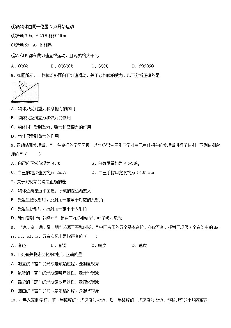2023-2024学年甘肃省庆阳市庙渠初级中学八上物理期末监测模拟试题含答案02