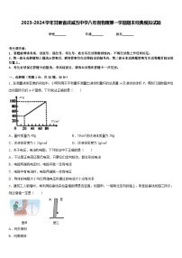 2023-2024学年甘肃省武威五中学八年级物理第一学期期末经典模拟试题含答案