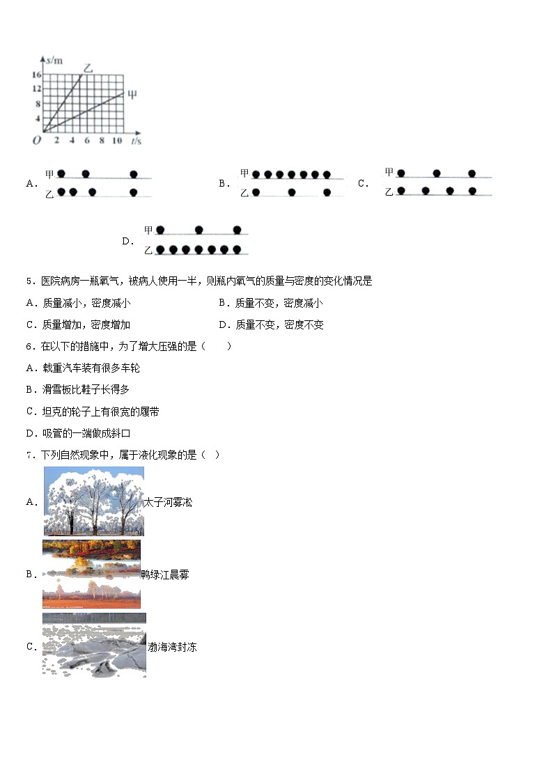 2023-2024学年甘肃省天水市罗玉中学八上物理期末质量跟踪监视试题含答案第2页