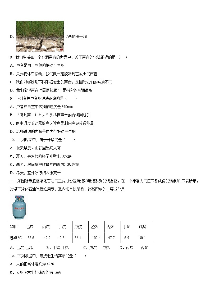 2023-2024学年甘肃省天水市罗玉中学八上物理期末质量跟踪监视试题含答案第3页
