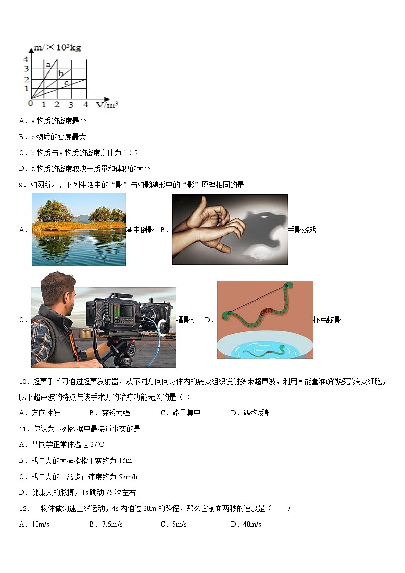 2023-2024学年甘肃省夏河县物理八年级第一学期期末达标检测模拟试题含答案第3页