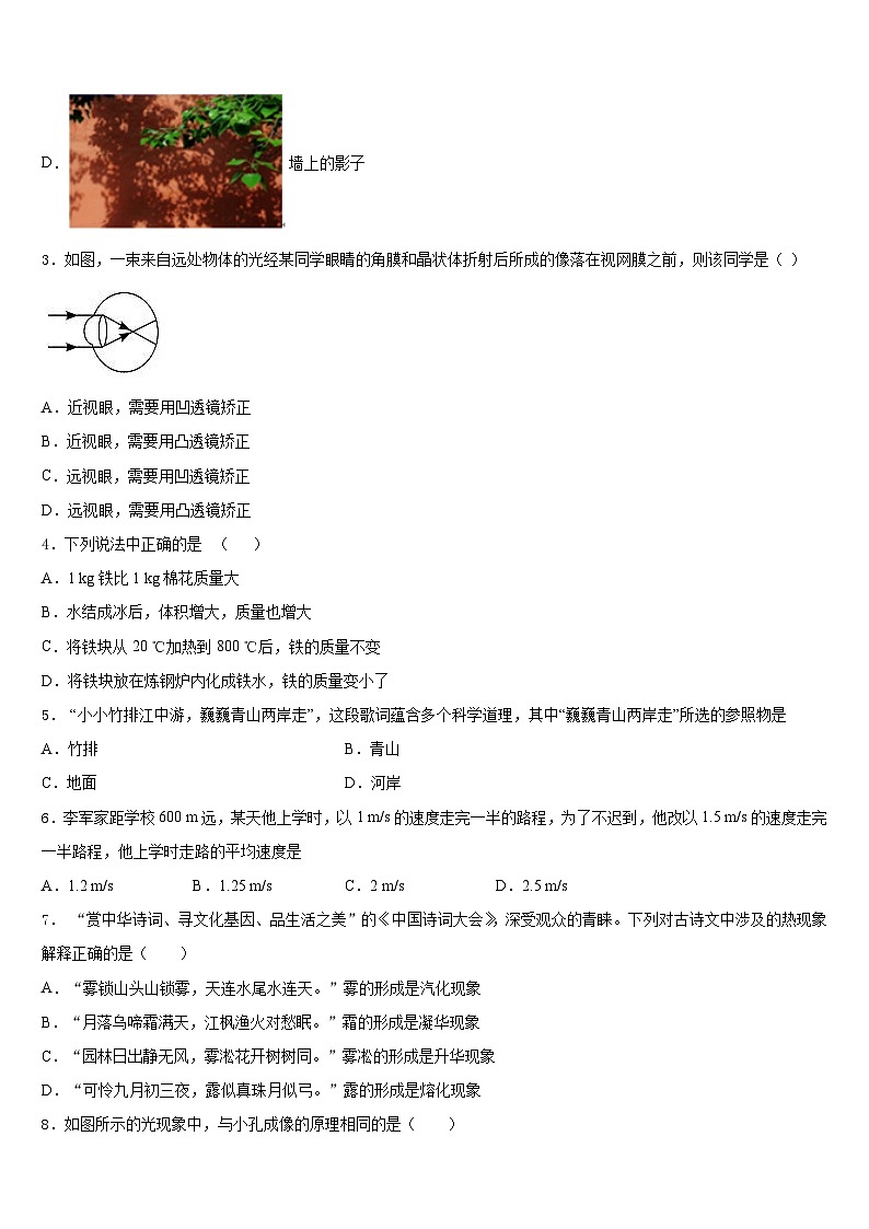 2023-2024学年甘肃省武威凉州区四校联考物理八上期末达标测试试题含答案02