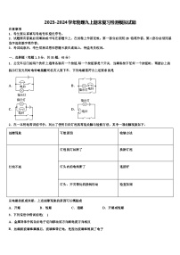 2023-2024学年物理九上期末复习检测模拟试题