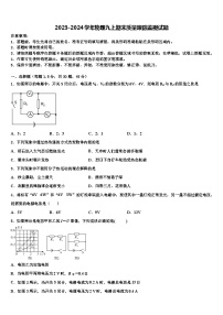 2023-2024学年物理九上期末质量跟踪监视试题