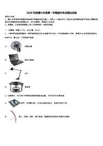 2024年物理九年级第一学期期末考试模拟试题