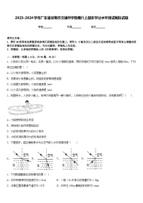 2023-2024学年广东省深圳市文锦中学物理八上期末学业水平测试模拟试题含答案