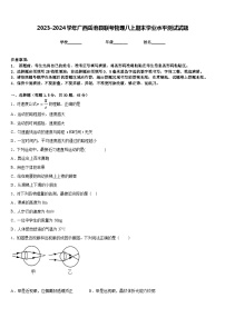 2023-2024学年广西岳池县联考物理八上期末学业水平测试试题含答案