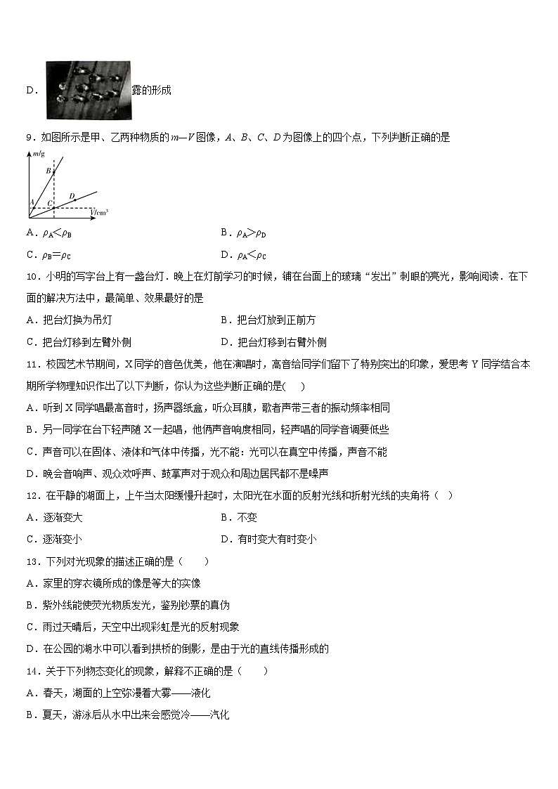 2023-2024学年广西贵港市港北三中学八上物理期末学业水平测试模拟试题含答案第3页