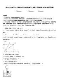 2023-2024学年广西河池市凤山县物理八年级第一学期期末学业水平测试试题含答案