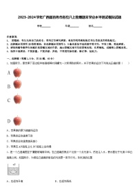 2023-2024学年广西省百色市名校八上物理期末学业水平测试模拟试题含答案