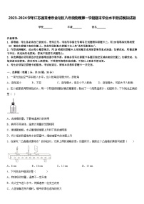 2023-2024学年江苏省常州市金坛区八年级物理第一学期期末学业水平测试模拟试题含答案