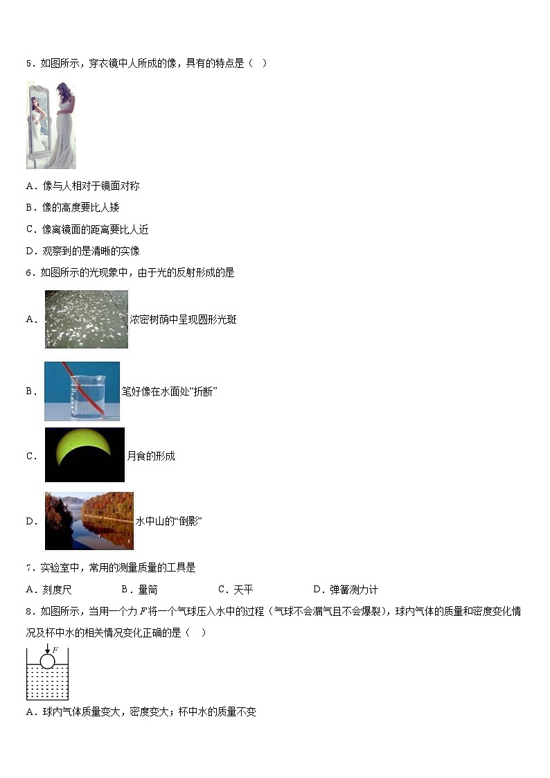 2023-2024学年江苏省高淳区物理八年级第一学期期末学业水平测试模拟试题含答案02