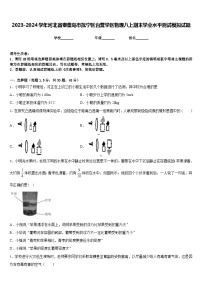 2023-2024学年河北省秦皇岛市抚宁区台营学区物理八上期末学业水平测试模拟试题含答案