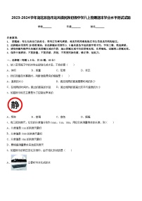 2023-2024学年湖北恩施市龙凤镇民族初级中学八上物理期末学业水平测试试题含答案