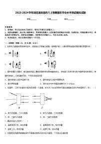 2023-2024学年湖北省恩施市八上物理期末学业水平测试模拟试题含答案