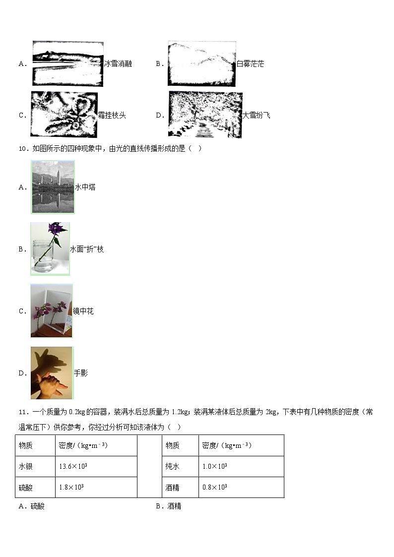 2023-2024学年湖北省恩施市八上物理期末学业水平测试模拟试题含答案03