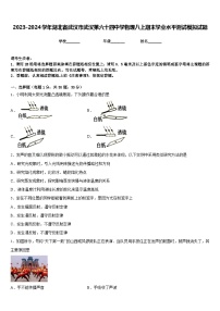 2023-2024学年湖北省武汉市武汉第六十四中学物理八上期末学业水平测试模拟试题含答案