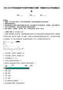 2023-2024学年湖北省咸宁市马桥中学物理八年级第一学期期末学业水平测试模拟试题含答案