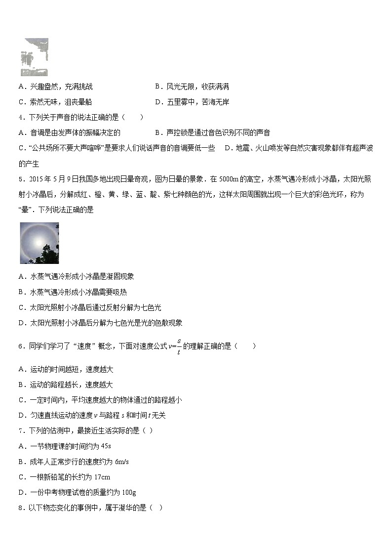 2023-2024学年湖北省襄阳市枣阳八上物理期末学业水平测试模拟试题含答案02