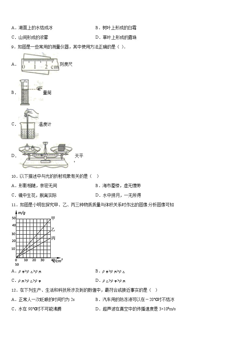 2023-2024学年湖北省襄阳市枣阳八上物理期末学业水平测试模拟试题含答案03