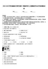 2023-2024学年湖南省长沙青竹湖湘一外国语学校八上物理期末学业水平测试模拟试题含答案