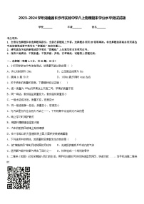 2023-2024学年湖南省长沙市实验中学八上物理期末学业水平测试试题含答案