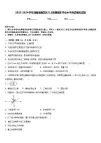 2023-2024学年湖南省雨花区八上物理期末学业水平测试模拟试题含答案