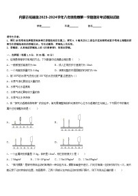 内蒙古杭锦旗2023-2024学年八年级物理第一学期期末考试模拟试题含答案