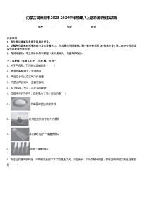 内蒙古满洲里市2023-2024学年物理八上期末调研模拟试题含答案