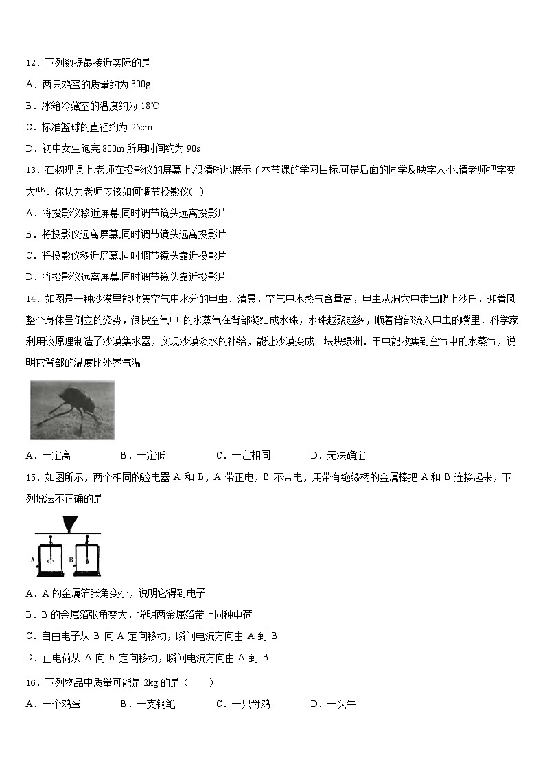 内蒙古呼伦贝尔市尼尔基第二中学2023-2024学年物理八年级第一学期期末经典模拟试题含答案第3页