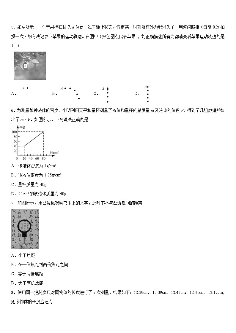 内蒙古自治区兴安盟乌兰浩特市卫东中学2023-2024学年物理八上期末调研模拟试题含答案第2页