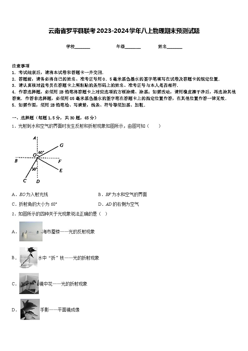 云南省罗平县联考2023-2024学年八上物理期末预测试题含答案第1页