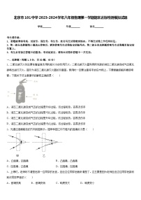 北京市101中学2023-2024学年八年级物理第一学期期末达标检测模拟试题含答案