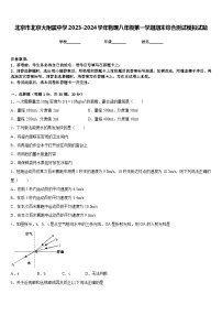 北京市北京大附属中学2023-2024学年物理八年级第一学期期末综合测试模拟试题含答案