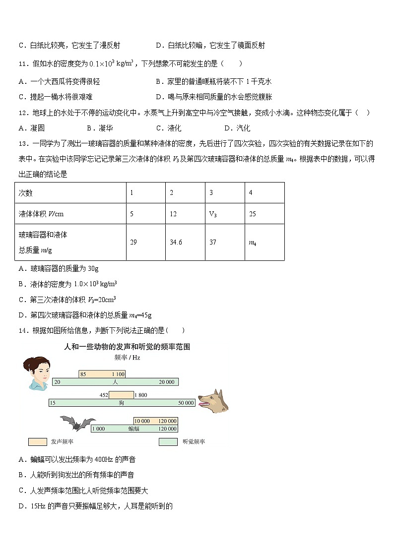 北京市海淀区首师大附2023-2024学年物理八年级第一学期期末调研模拟试题含答案第3页