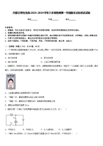 内蒙古鄂托克旗2023-2024学年八年级物理第一学期期末达标测试试题含答案