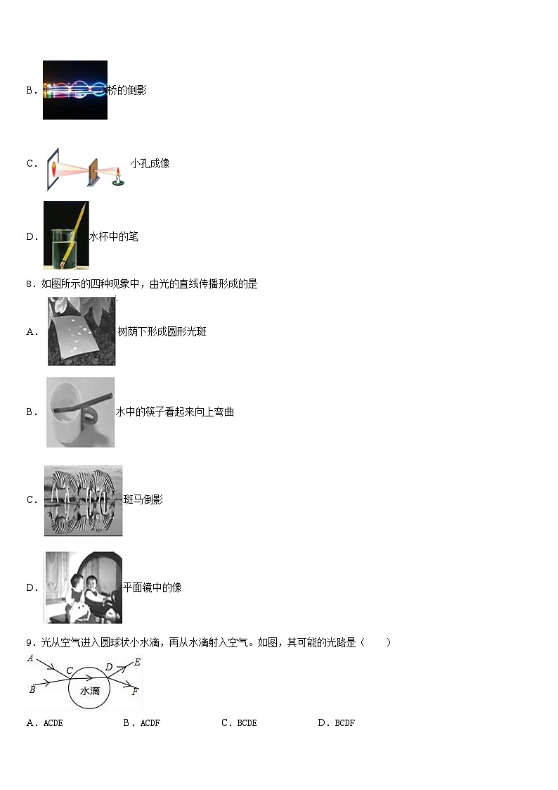 北京师范大附属中学2023-2024学年八上物理期末联考模拟试题含答案第3页