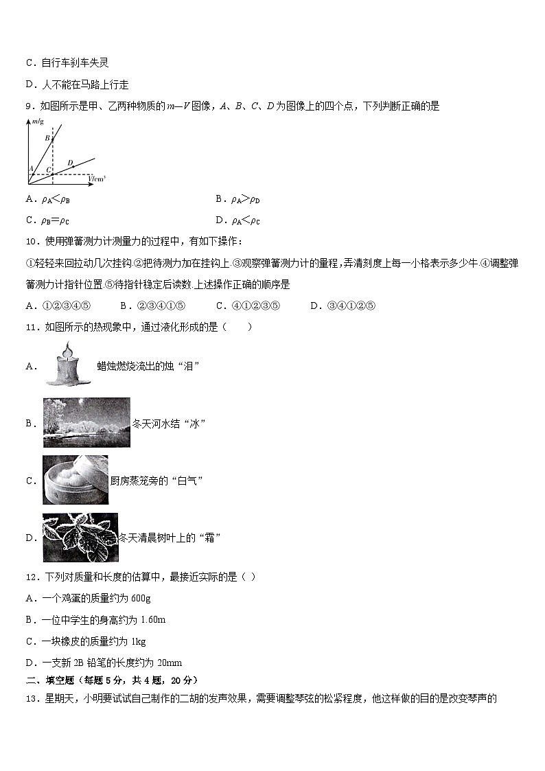 北京市第一五九中学2023-2024学年物理八年级第一学期期末复习检测试题含答案第3页
