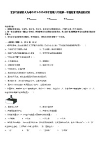 北京市首都师大附中2023-2024学年物理八年级第一学期期末经典模拟试题含答案