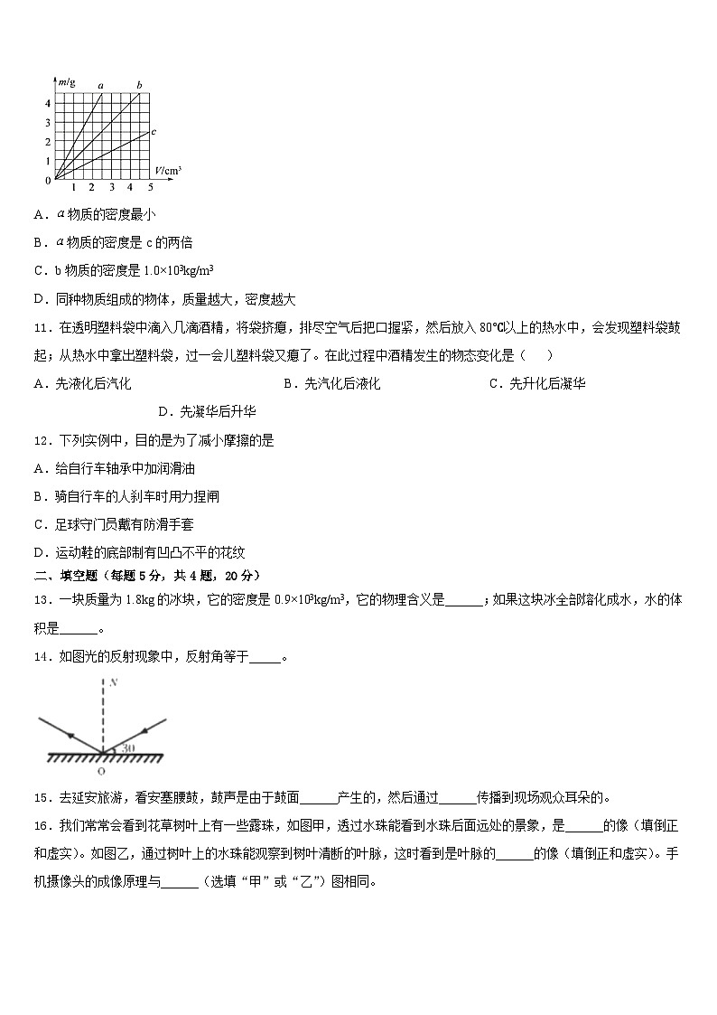 合肥市瑶海区2023-2024学年八年级物理第一学期期末检测试题含答案第3页
