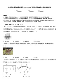 吉林大附中力旺实验中学2023-2024学年八上物理期末达标检测试题含答案