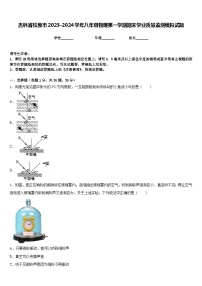 吉林省松原市2023-2024学年八年级物理第一学期期末学业质量监测模拟试题含答案