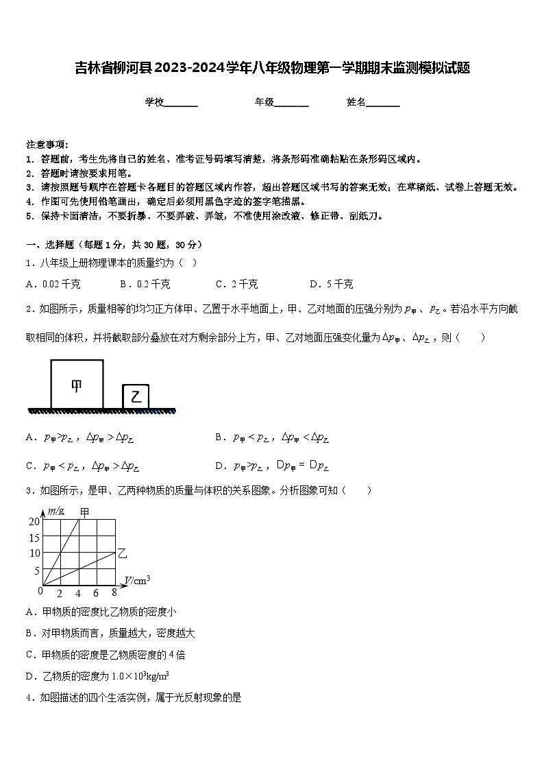 吉林省柳河县2023-2024学年八年级物理第一学期期末监测模拟试题含答案第1页
