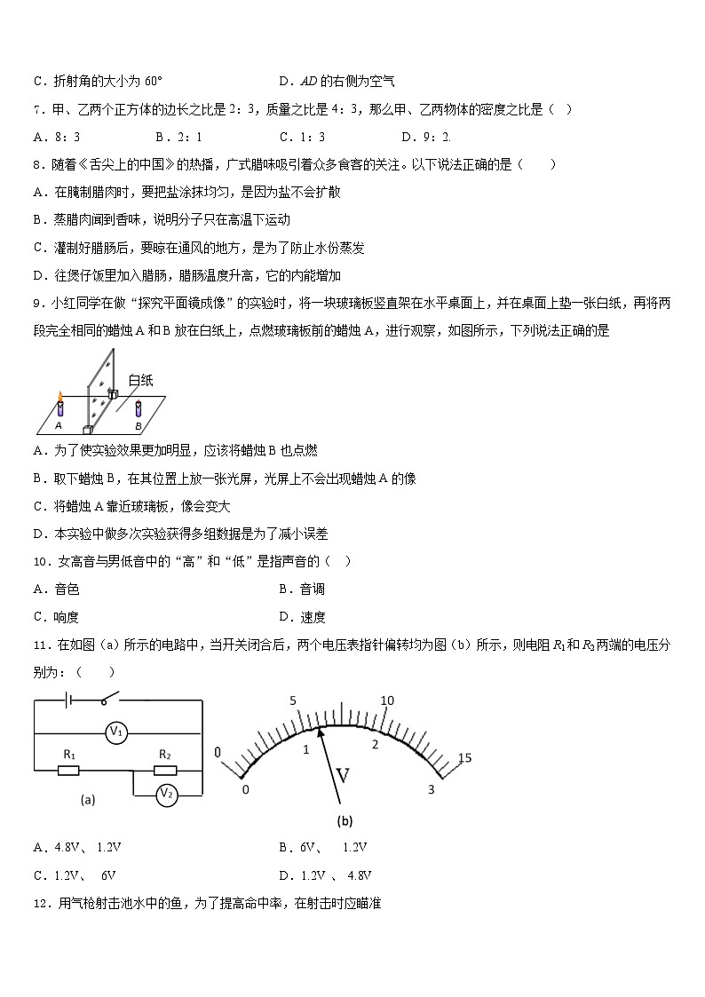 吉林省辽源市东丰县小四平镇中学2023-2024学年物理八上期末质量跟踪监视模拟试题含答案第3页