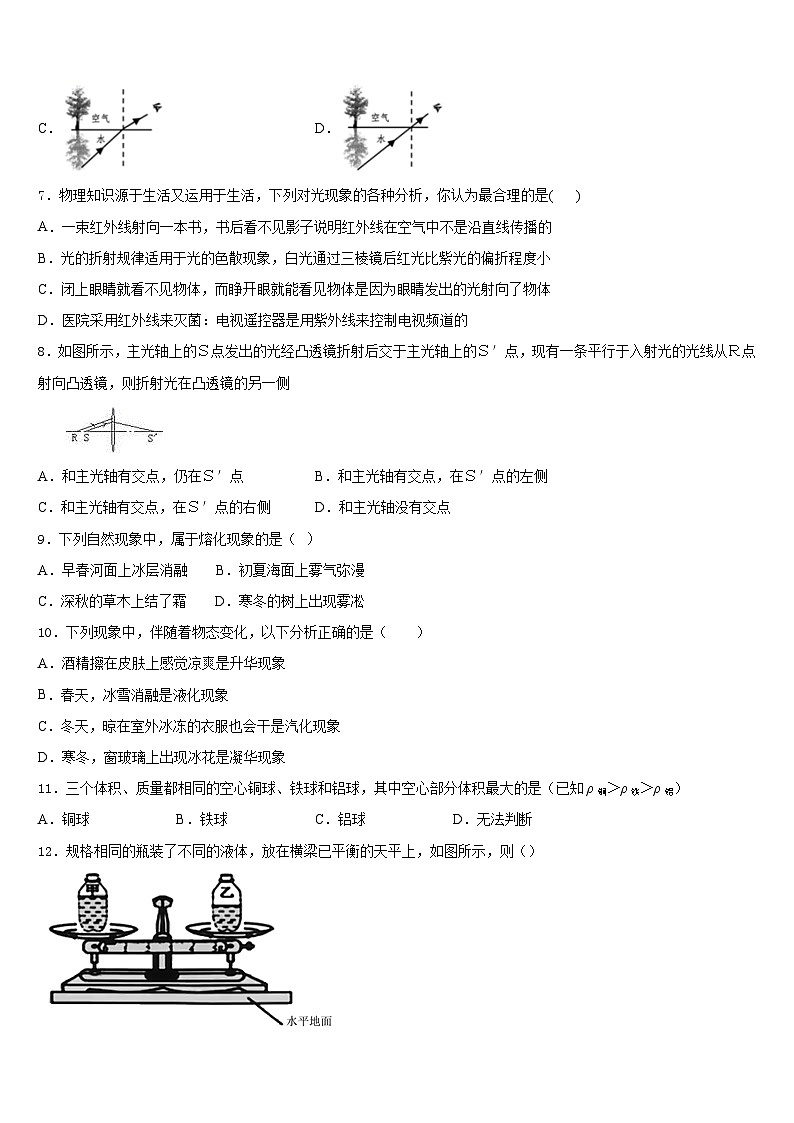 四川省乐山市峨眉山市2023-2024学年物理八年级第一学期期末检测模拟试题含答案第3页