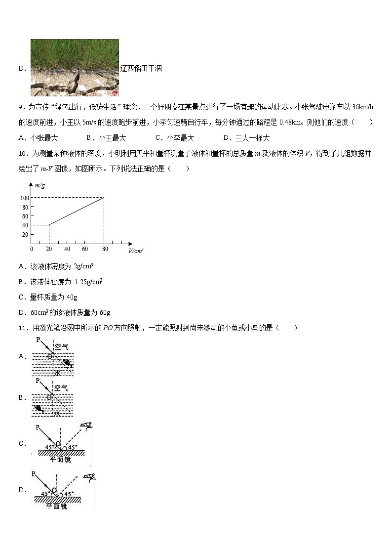 吉林省长春市第四十八中学2023-2024学年物理八上期末统考模拟试题含答案第3页