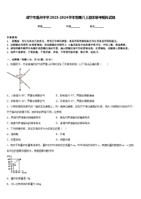 咸宁市重点中学2023-2024学年物理八上期末联考模拟试题含答案