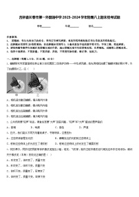 吉林省长春市第一外国语中学2023-2024学年物理八上期末统考试题含答案