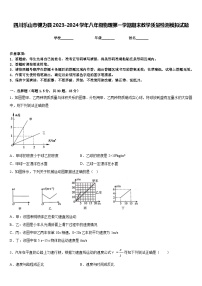 四川乐山市犍为县2023-2024学年八年级物理第一学期期末教学质量检测模拟试题含答案